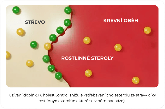Blokování cholesterolu steroly