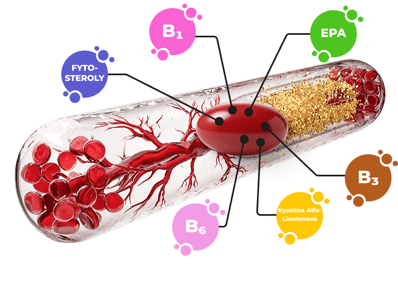 Ilustrace kapsle s vitamíny